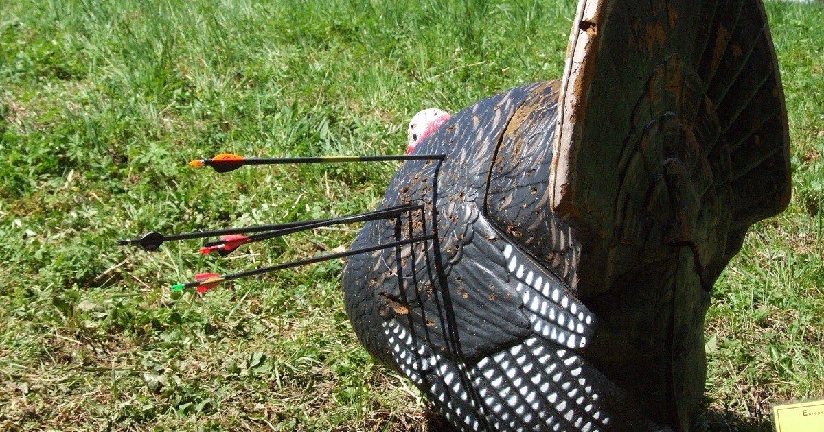 Foam 3D turkey target with several arrows in it on a grassy slope