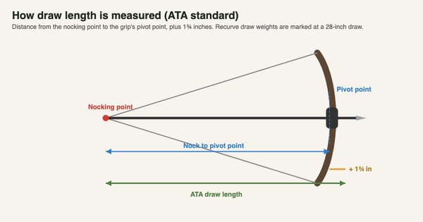 Diagram of ATA draw length: the distance from the nocking point to the grip's pivot point plus one and three-quarter inches