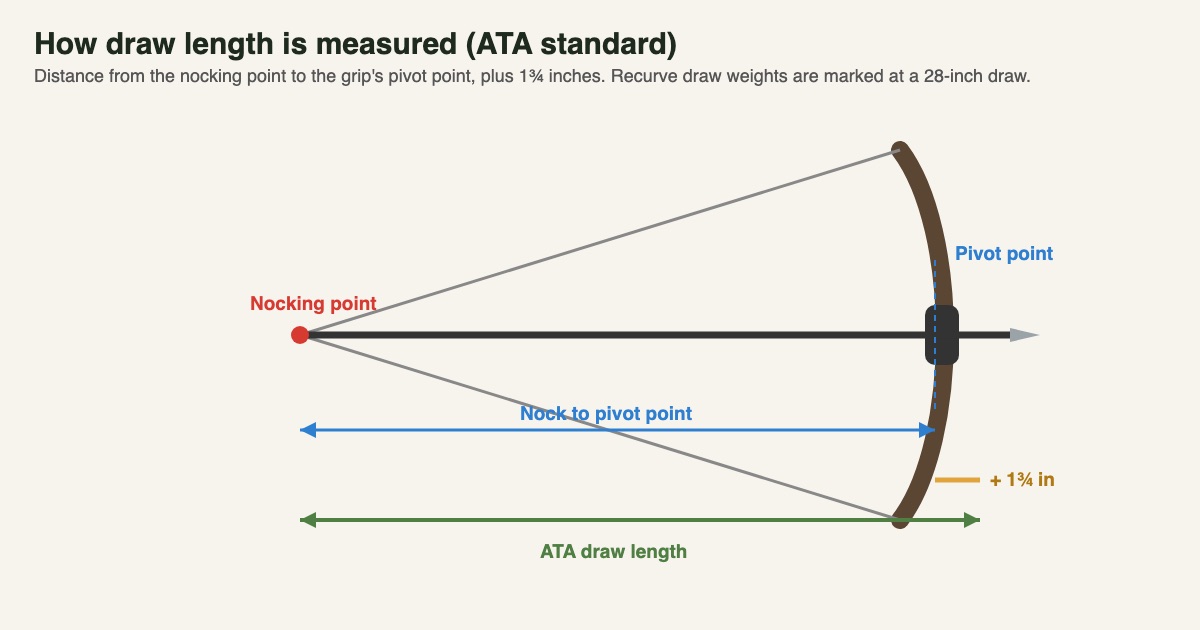 Diagram of ATA draw length: the distance from the nocking point to the grip's pivot point plus one and three-quarter inches