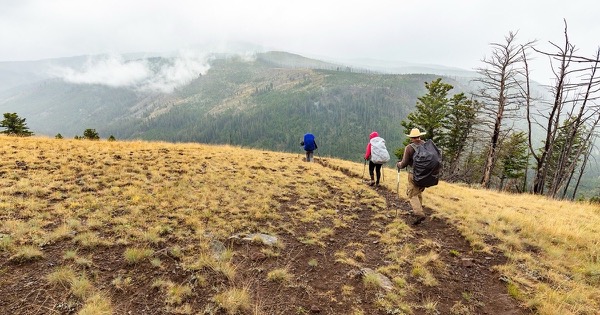 Three backpackers with loaded packs and trekking poles walking down a grassy mountain ridge above forested valleys