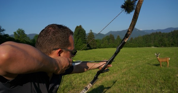 Archer drawing a recurve bow without sights at a 3D animal target in an open meadow