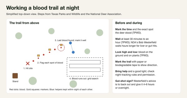 Top-down diagram of a deer blood trail with the hit site, flagged blood spots, last-blood marker, helpers and a grid search area, beside a checklist of tracking steps