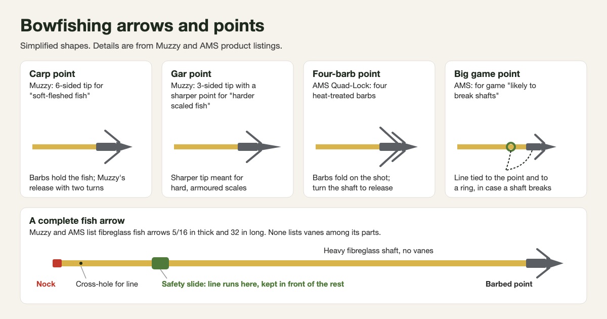 Simplified diagram of four bowfishing points, a carp point with a six-sided tip, a gar point with a sharper three-sided tip, a four-barb point whose barbs fold on the shot, and a big game point with line tied to the point and a ring, above a complete fibreglass fish arrow showing the nock, cross-hole, safety slide, shaft with no vanes and barbed point