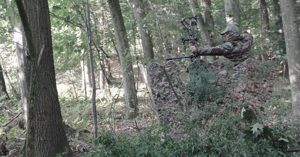 Bowhunter in camouflage at full draw with a compound bow among the trees of a deciduous forest