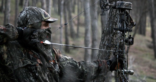A bowhunter in camouflage at full draw among pine trees, with a pin sight fitted to a hunting compound bow