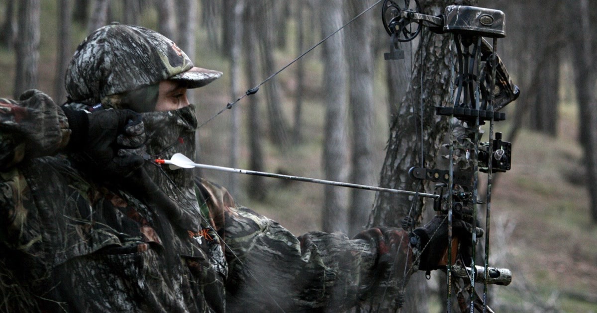 A bowhunter in camouflage at full draw among pine trees, with a pin sight fitted to a hunting compound bow