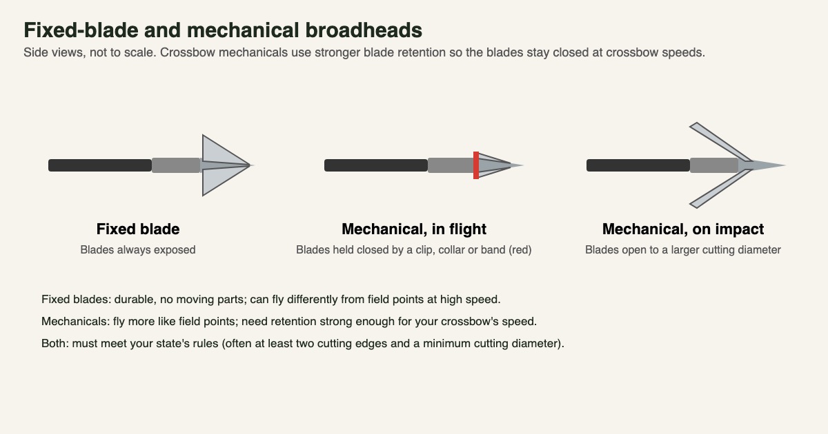 Diagram comparing a fixed-blade broadhead with a mechanical broadhead closed in flight and open on impact
