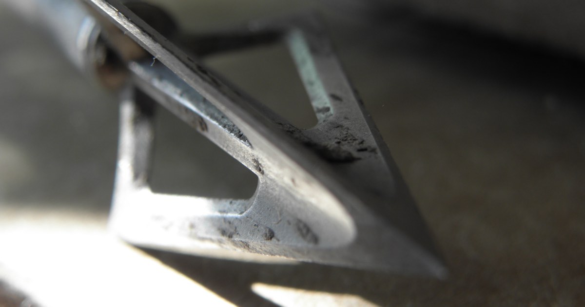 Macro close-up of a fixed-blade hunting broadhead on an arrow shaft