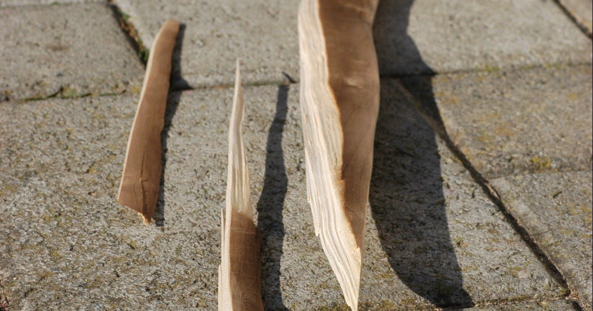 A wooden flatbow broken at the limb, with the splintered pieces lying on paving stones