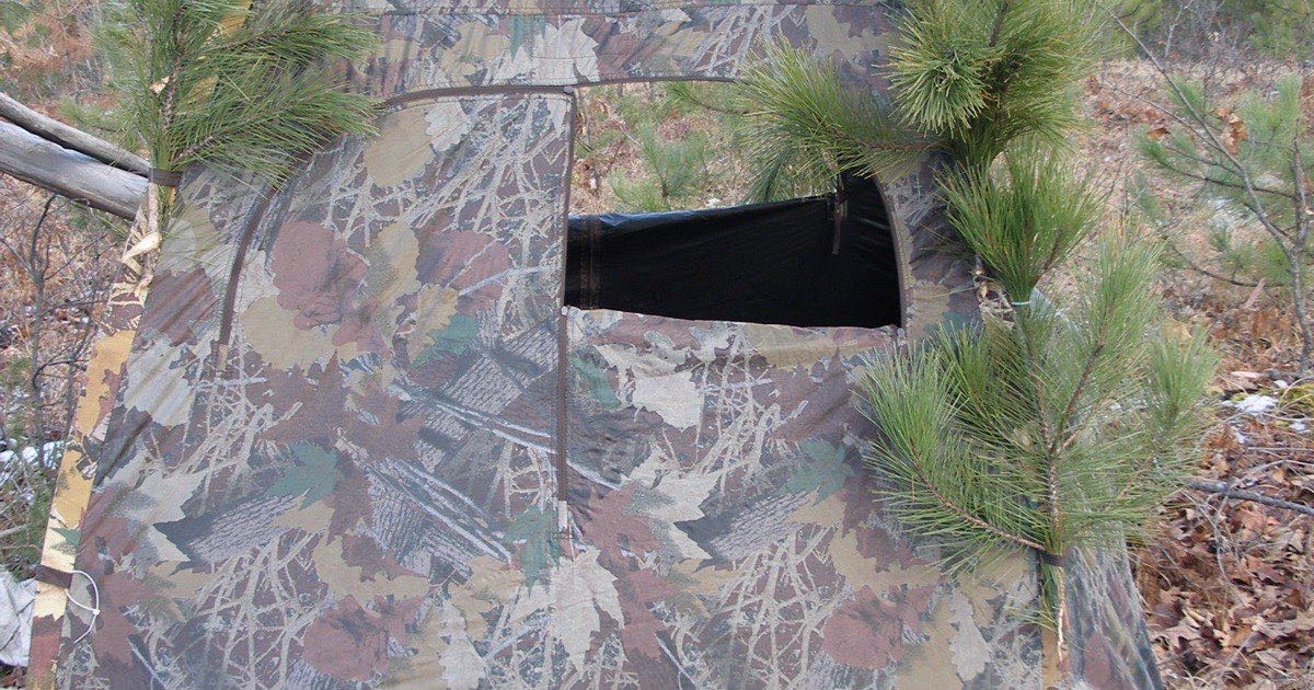 Camouflage ground blind with a dark shooting window, brushed in with pine branches