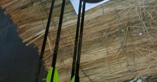 Close-up of carbon arrows with fletching stuck in a straw target boss