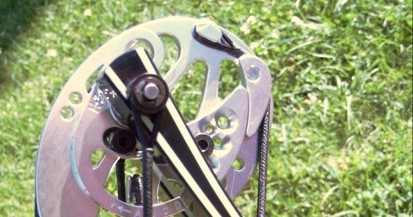 Close-up of a compound bow's cam at the limb tip, with the bowstring and cables running down from the cam and axle