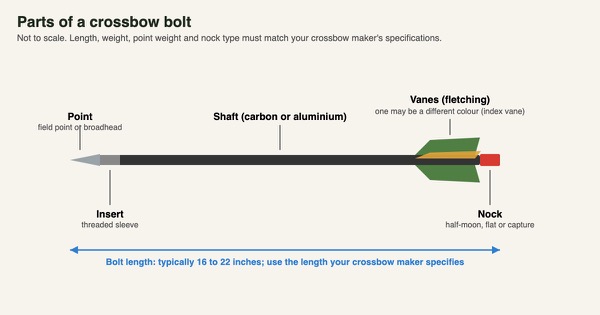 Labelled diagram of a crossbow bolt showing the point, insert, shaft, vanes, index vane and nock, with typical length