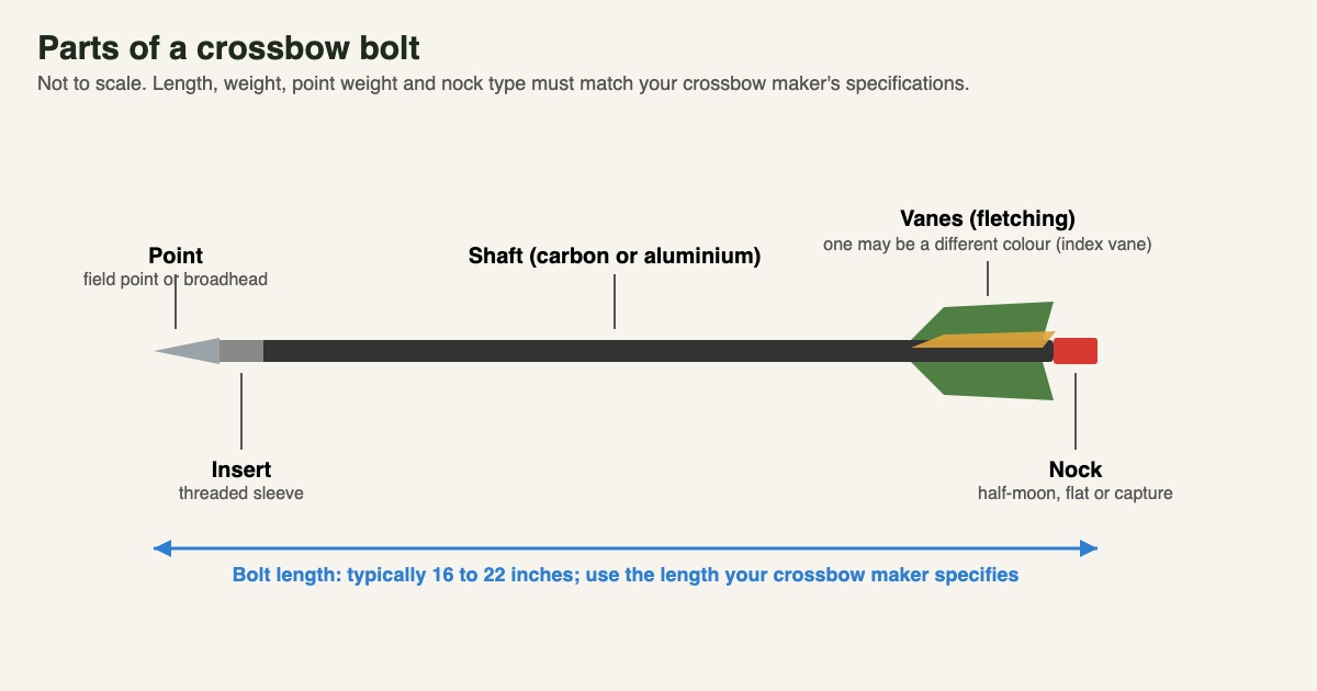 Labelled diagram of a crossbow bolt showing the point, insert, shaft, vanes, index vane and nock, with typical length