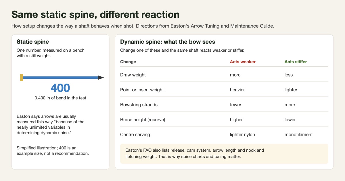 Diagram comparing a single static spine number with the setup changes that make the same arrow react weaker or stiffer when shot: draw weight, point weight, string strands, brace height and centre serving