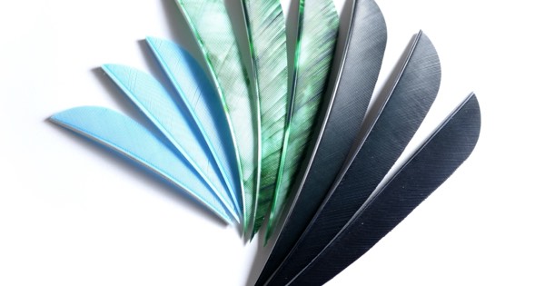 Fan of archery fletching feathers in different sizes and colours
