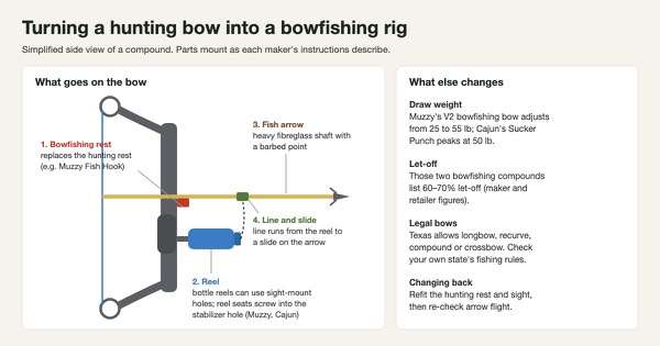 Simplified diagram of a compound bow converted for bowfishing: a bowfishing rest in place of the hunting rest, a bottle reel on a bracket below the arrow, a heavy fibreglass arrow with a barbed point, and line running from the reel to a slide on the arrow, beside notes on draw weight, let-off, legal bows and changing back