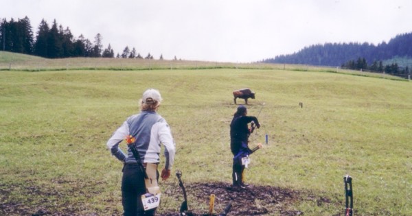 Archers walking a 3D field course toward a foam bison target in an alpine meadow