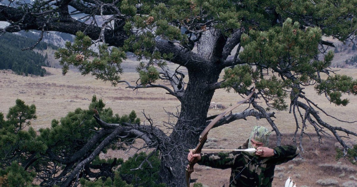 A hunter drawing a recurve bow in open woodland