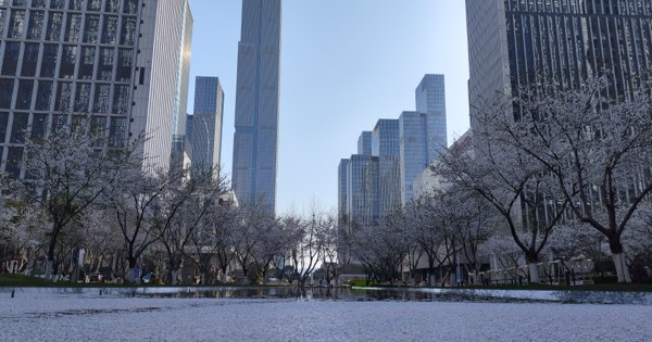 Skyscrapers of Nanjing, China, seen across a plaza in spring