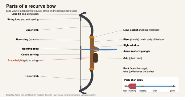 Labelled side-view diagram of a takedown recurve bow: limb tips and string nocks, string loops, upper and lower limbs, bowstring, nocking point, centre serving, brace height, limb pockets and bolts, riser, sight window, arrow rest and plunger, grip, plus an inset showing the parts of an arrow