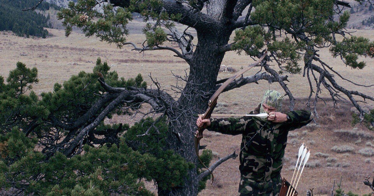 Hunter at full draw with a recurve bow beside a pine tree in open, rolling country