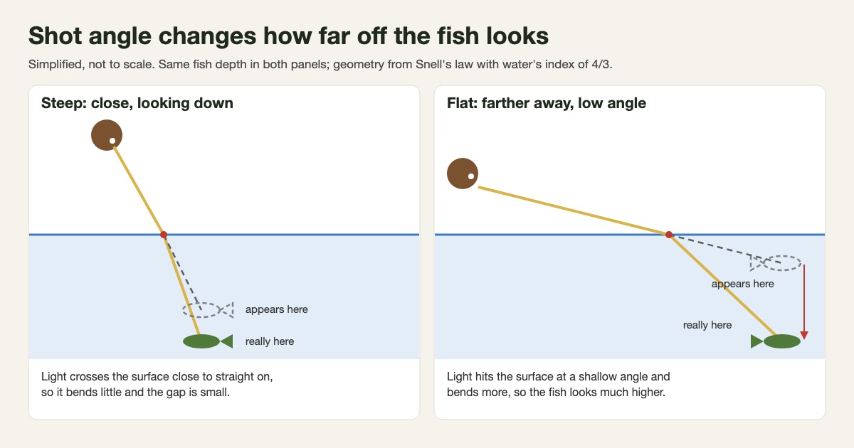 Simplified two-panel diagram: a steep downward view shows a small gap between where a fish appears and where it is, while a flat, distant view shows a much larger gap