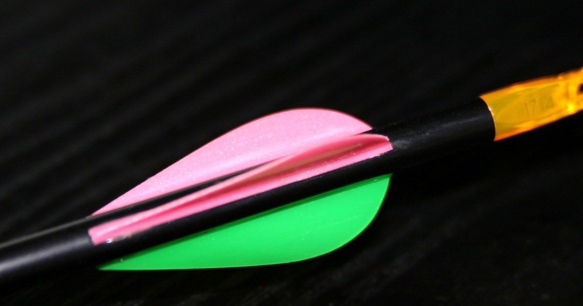 Close-up of a target arrow with two pink vanes, a green index vane and an orange nock