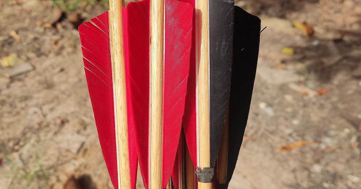 Wooden arrows fletched with red and black turkey feathers