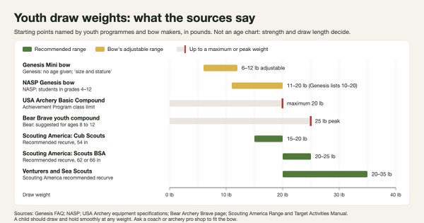 Bar chart of youth draw weights from named sources: Genesis Mini 6 to 12 lb, NASP Genesis bow 11 to 20 lb for grades 4 to 12, USA Archery Basic Compound class maximum 20 lb, Bear Brave 25 lb peak for ages 8 to 12, and Scouting America recurve recommendations of 15 to 20 lb for Cub Scouts, 20 to 25 lb for Scouts BSA and 20 to 35 lb for Venturers and Sea Scouts